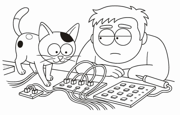 Cats like wires, wires don